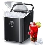 Portable Small Ice Maker with Self-Cleaning