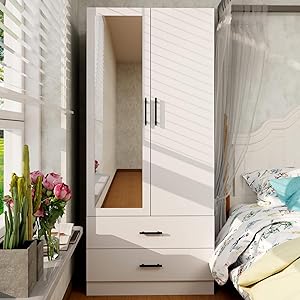 This image is shows the result of Armoire Wardrobe Closet with 2 Doors